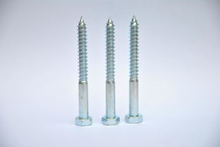 專(zhuān)業(yè)東莞螺絲生產(chǎn)廠家在廣東,陽(yáng)江不銹鋼自攻螺絲釘